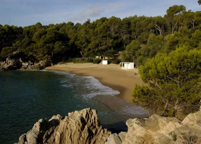 Vivalavida Playa 1km Lloret de Mar