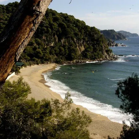 Vila Vivalavida Playa 1km Lloret de Mar