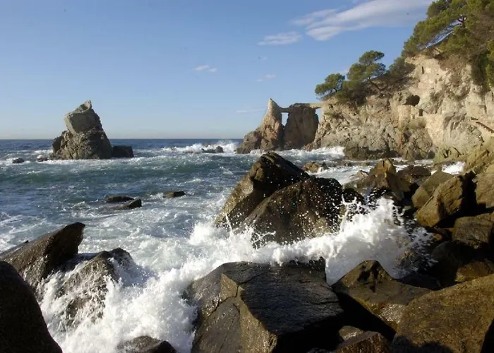 Vivalavida Playa 1km *