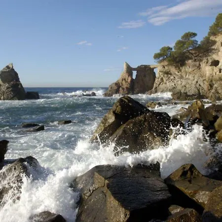 Vivalavida Playa 1km *