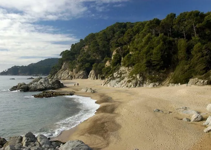 Vivalavida Playa 1km *